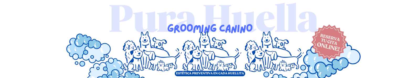 Portada de Pura Huella